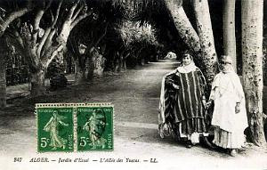 ALGER - JARDIN D'ESSAI - ALLEE DES YUCAS